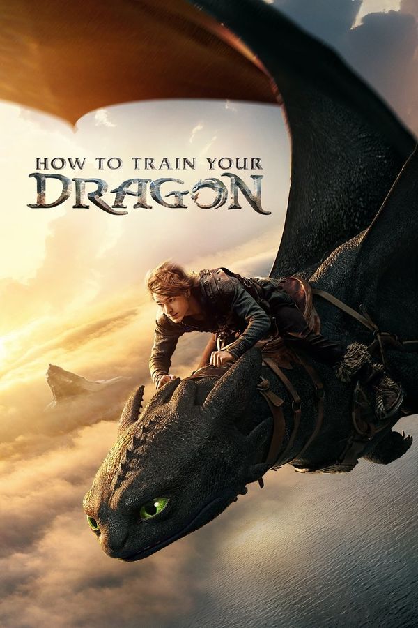 How to Train Your Dragon (2025) ქართულად