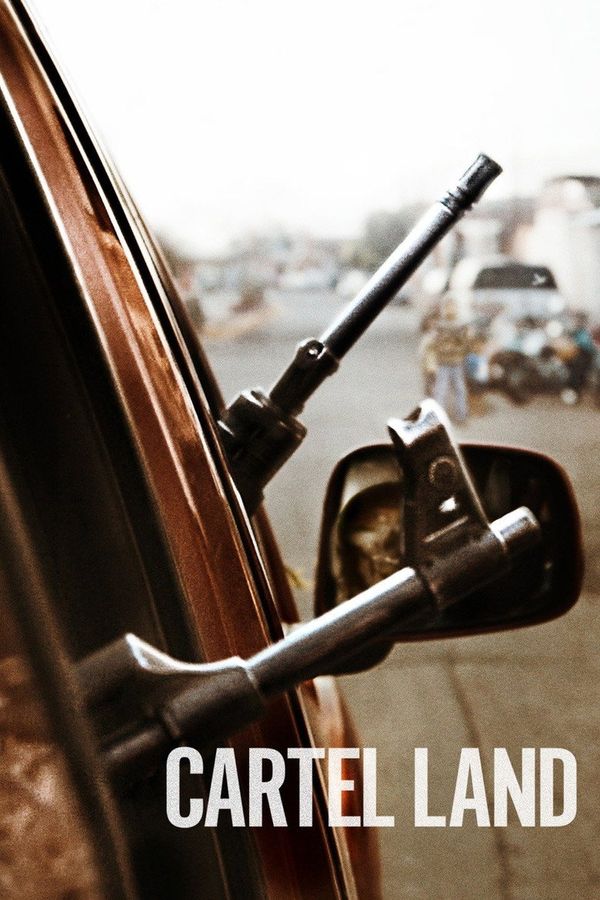 Cartel Land (2015) ქართულად